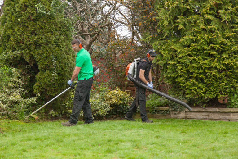 Gardening Services - Baan wise